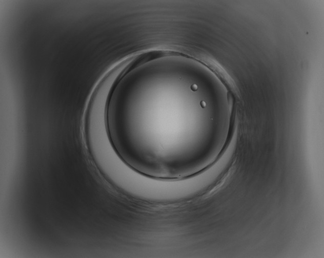X0000100940892200806241425