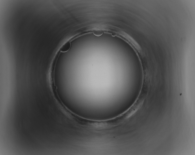 X0000100940893200806241425