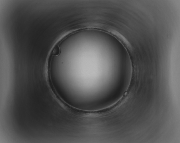 X0000100940894200806241425