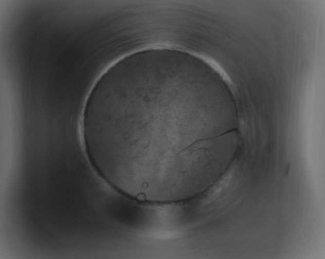 X0000100940895200806241425