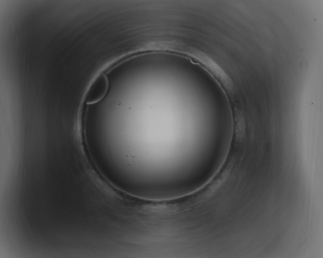 X0000100940896200806241425