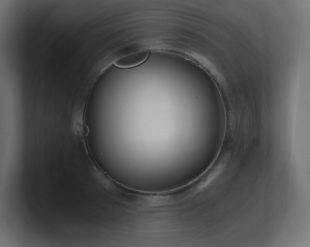 X0000100940897200806241425