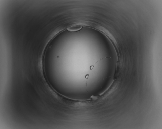 X0000100940898200806241425