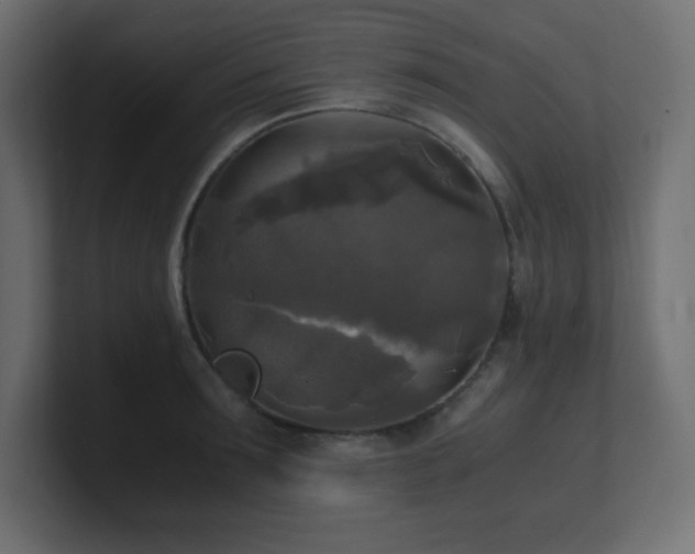 X0000100940899200806241425