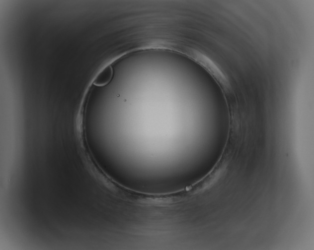 X0000100940900200806241425