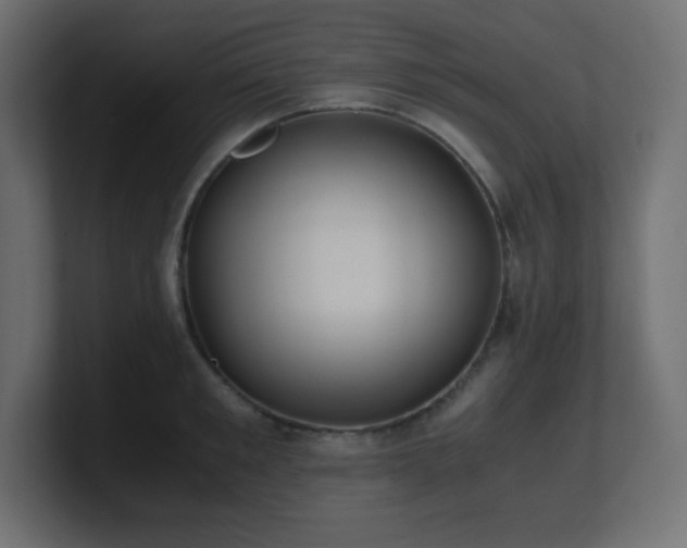 X0000100940901200806241425