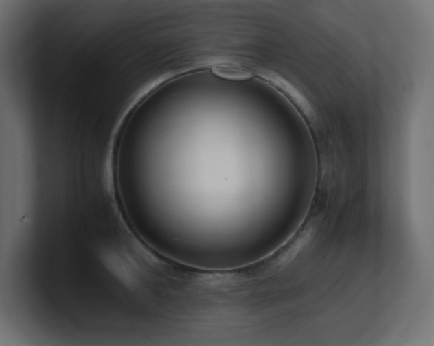 X0000100940902200806241425