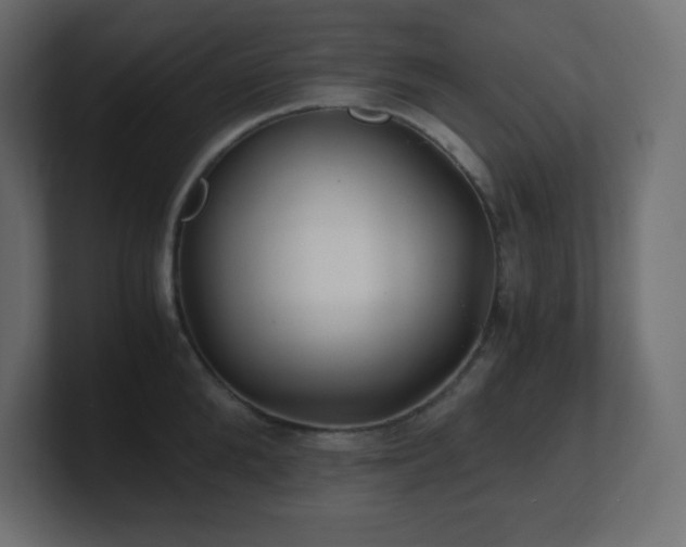 X0000100940904200806241425