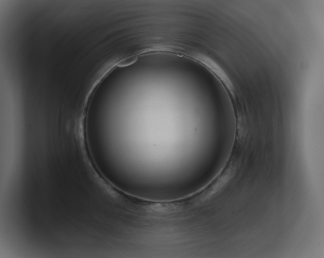 X0000100940906200806241424