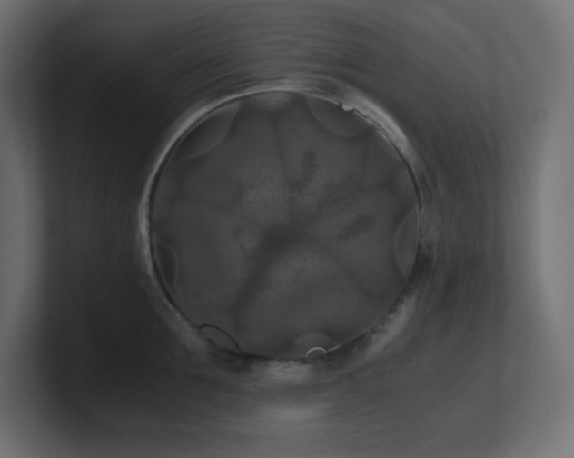 X0000100940907200806241424