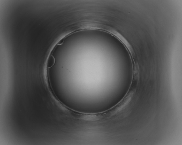 X0000100940909200806241424