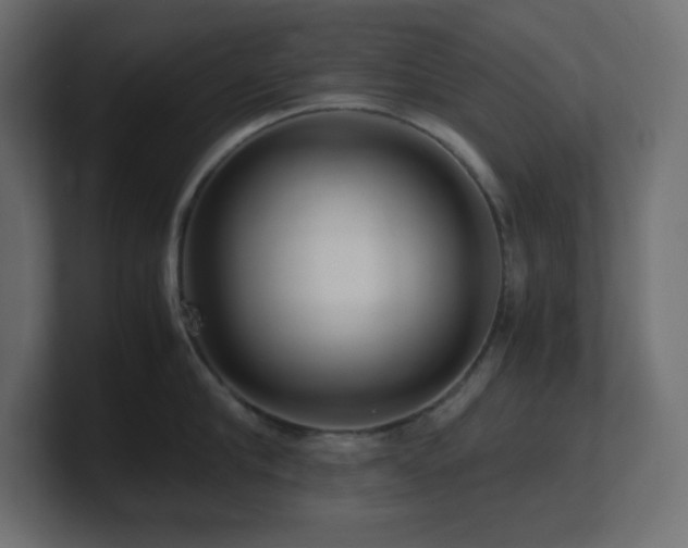 X0000100940910200806241424