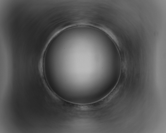 X0000100940911200806241424