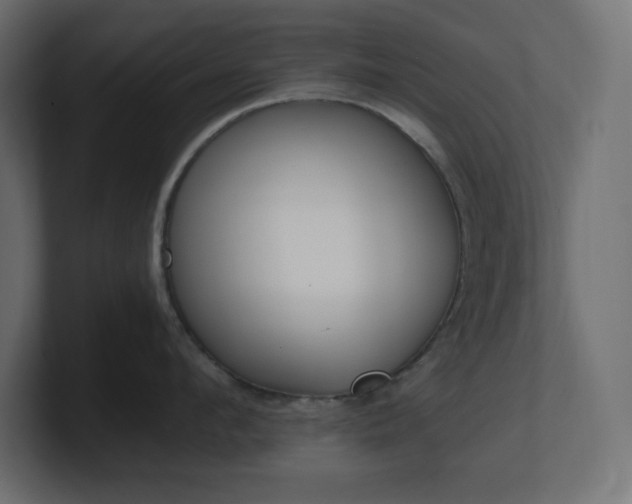 X0000100940912200806241424
