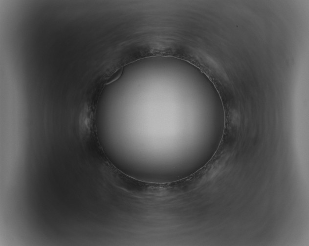 X0000100940914200806241424