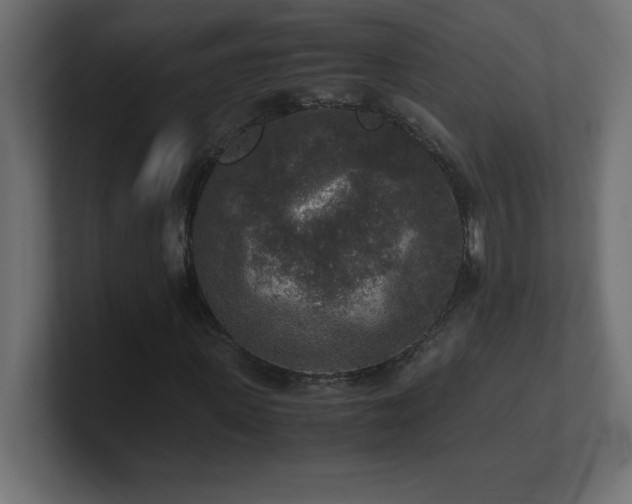 X0000100940915200806241424