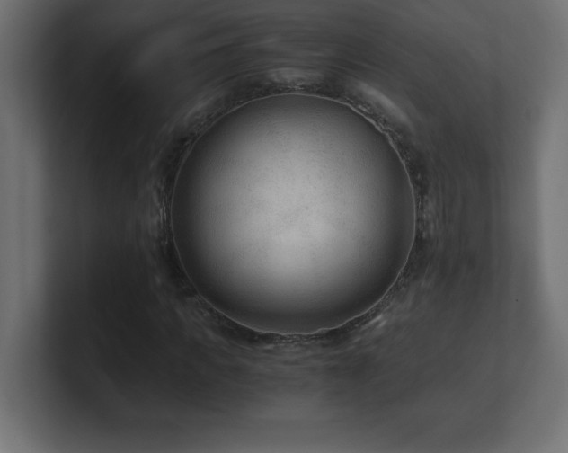 X0000100940917200806241424
