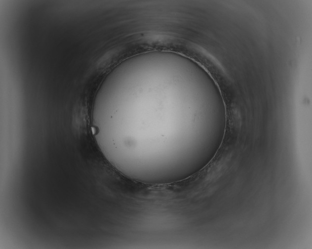 X0000100940918200806241424