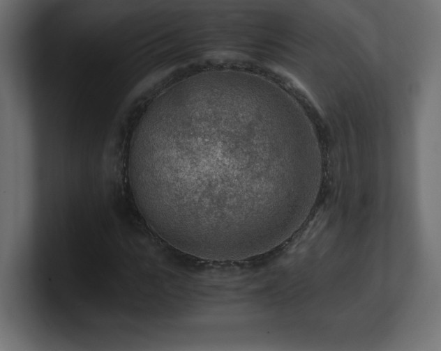 X0000100940919200806241424