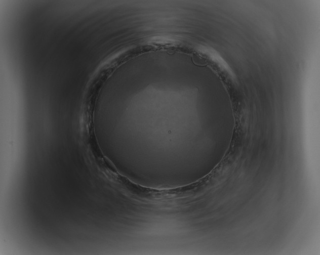 X0000100940920200806241424