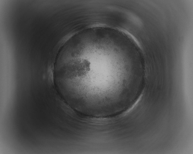 X0000100940921200806241424
