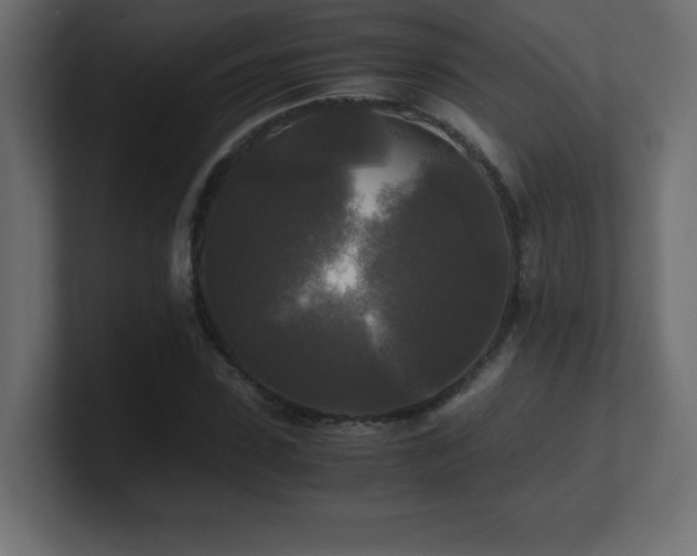 X0000100940923200806241424
