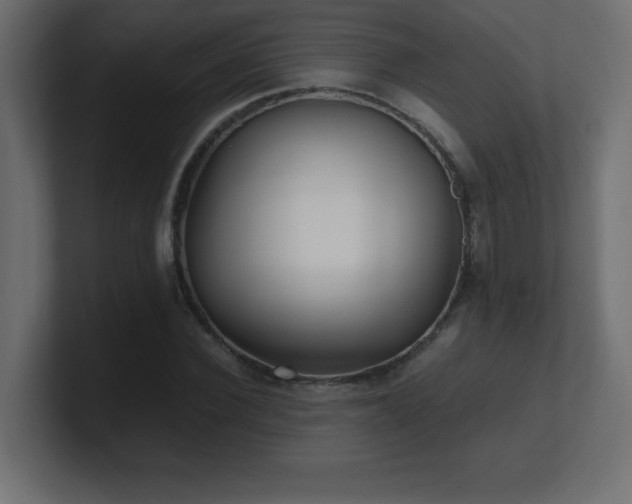 X0000100940924200806241424