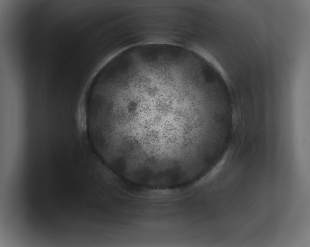 X0000100940925200806241424