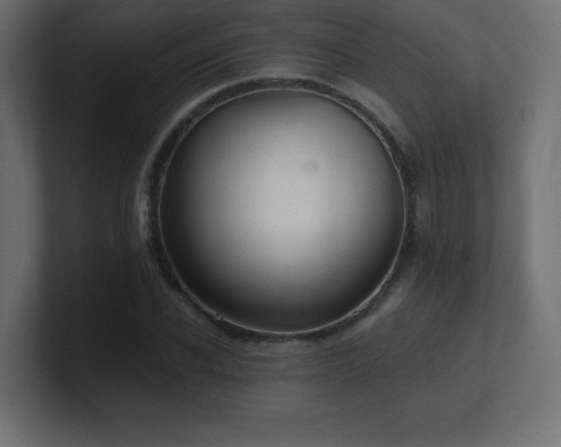 X0000100940926200806241424
