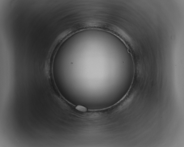 X0000100940930200806241424
