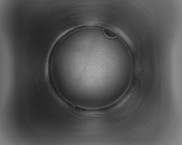 X0000100940932200806241424