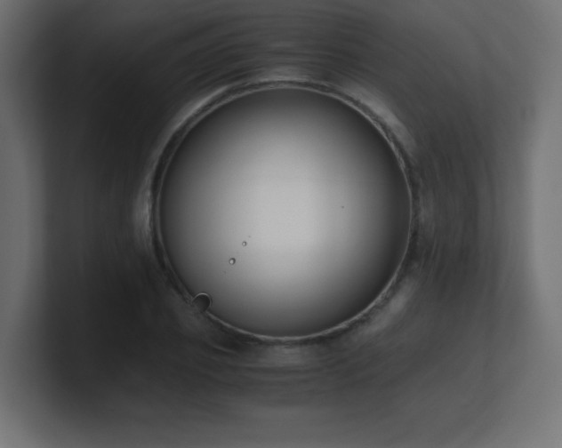 X0000100940933200806241424
