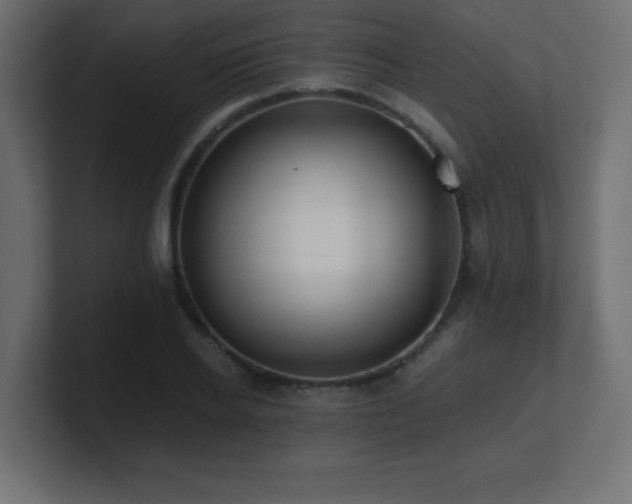 X0000100940934200806241424