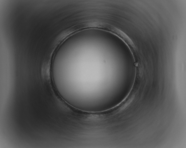 X0000100940938200806241424