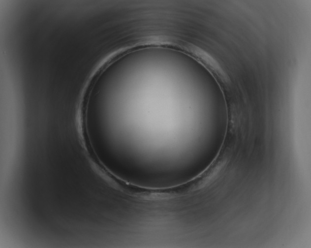 X0000100940942200806241424