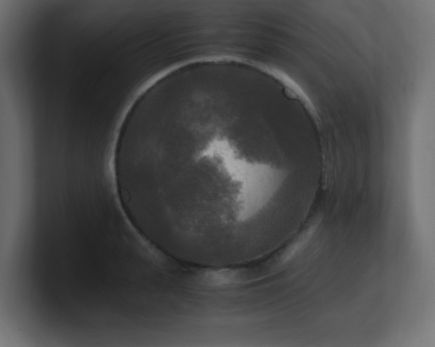 X0000100940943200806241424