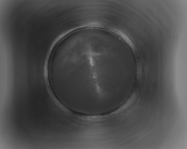 X0000100940944200806241424