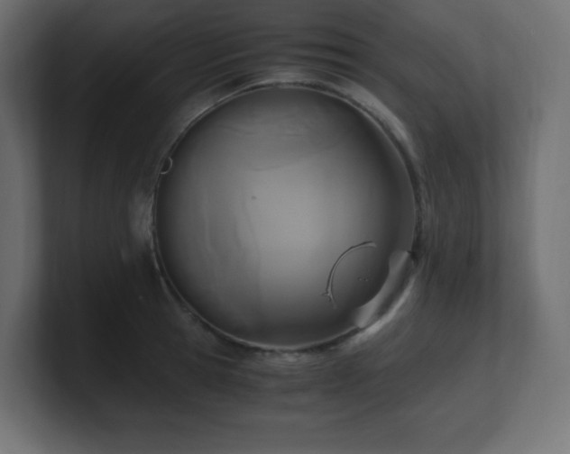 X0000100940945200806241424