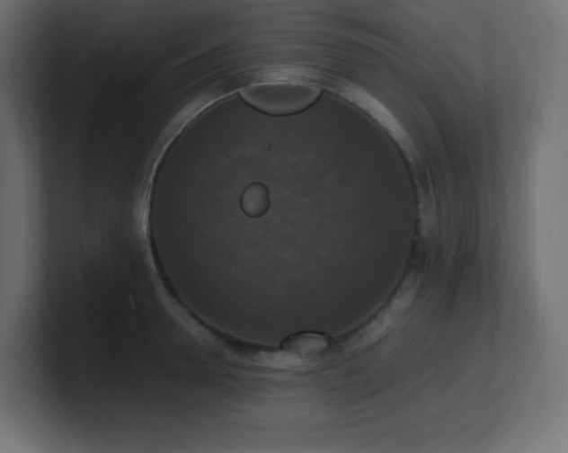 X0000100940946200806241424