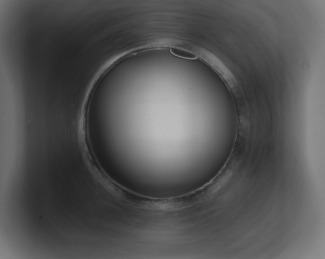 X0000100940948200806241424
