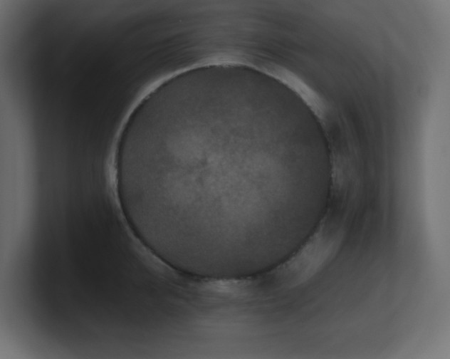 X0000100940950200806241424