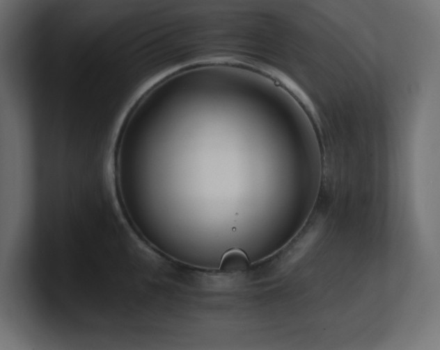X0000100940951200806241424