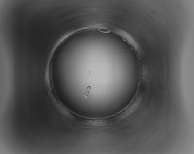 X0000100940952200806241424