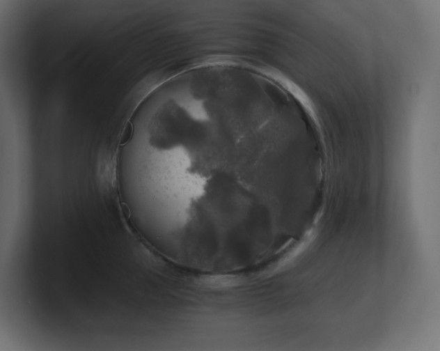 X0000100940953200806241424
