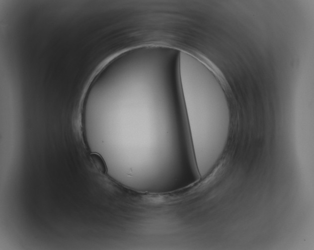 X0000100940956200806241424