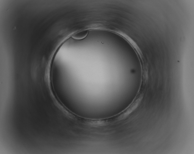 X0000100940957200806241424