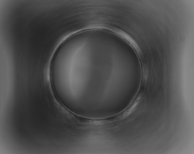 X0000100940958200806241424