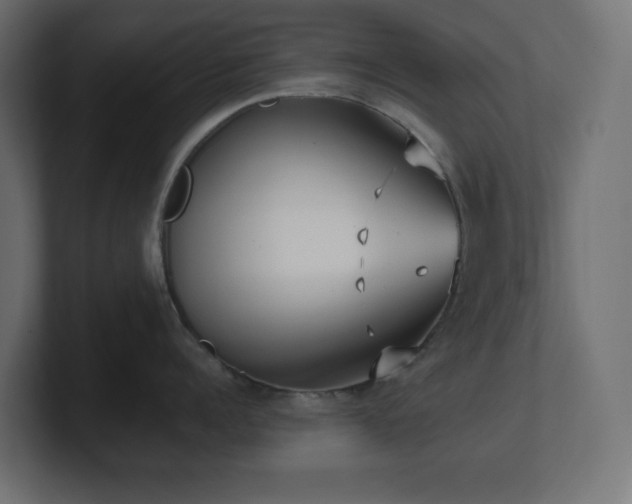 X0000100940960200806241424