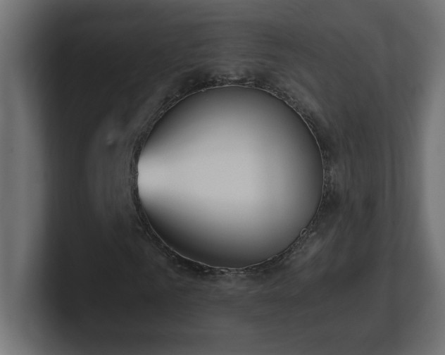 X0000100940961200806241424