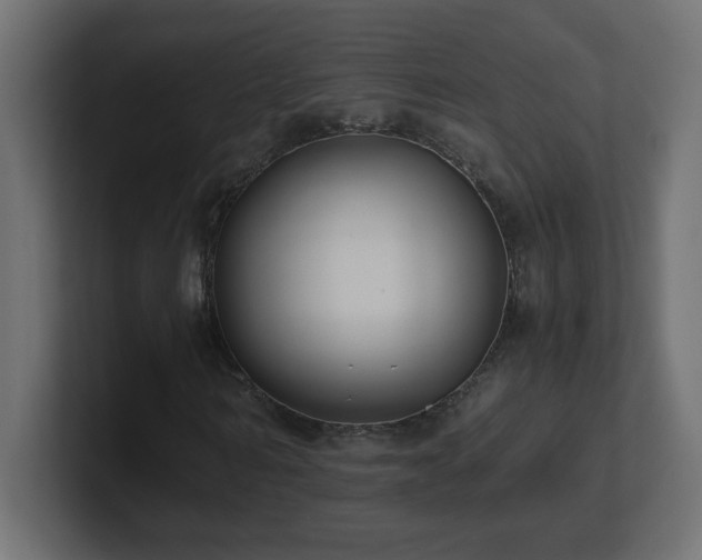 X0000100940962200806241424